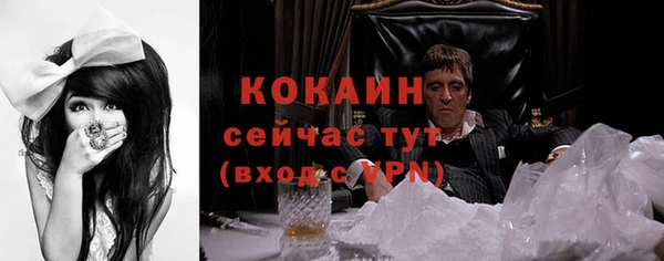 прущий лед Алзамай