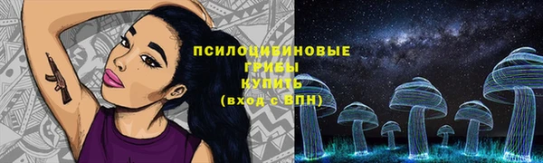 прущий лед Алзамай