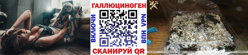 Галлюциногенные грибы Psilocybe  Пущино 